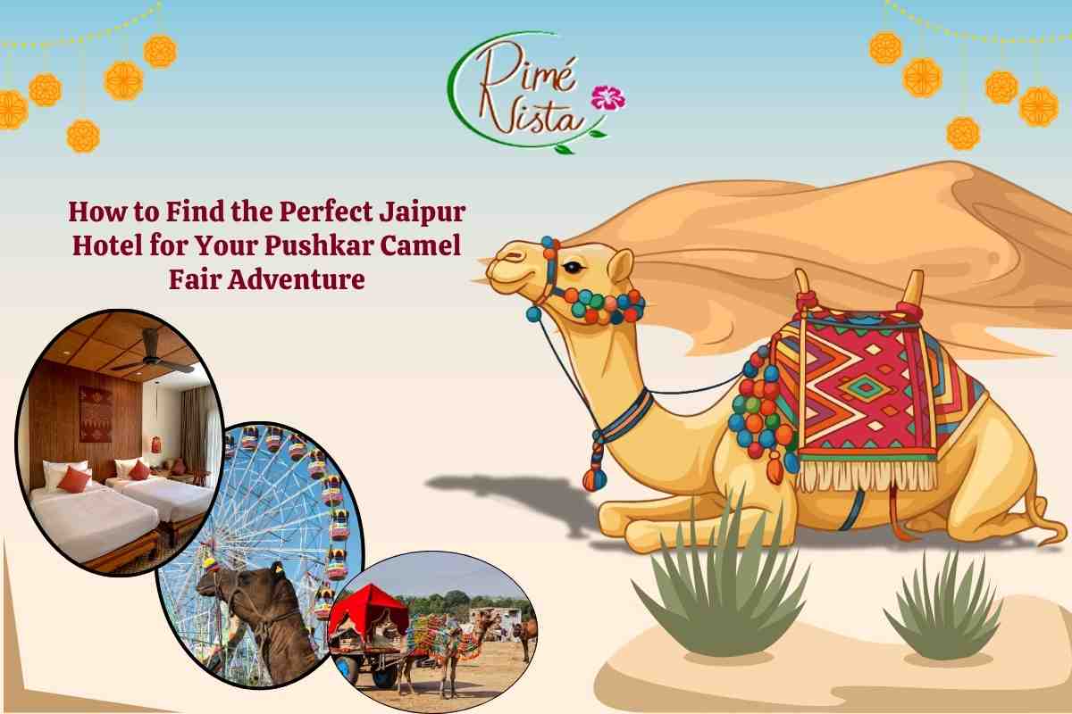 boutique-heritage-hotel-in-jaipur